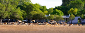 Merino Inn Hotel